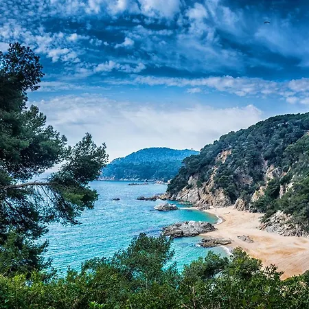 Mar De Vent -apartments 滨海略雷特